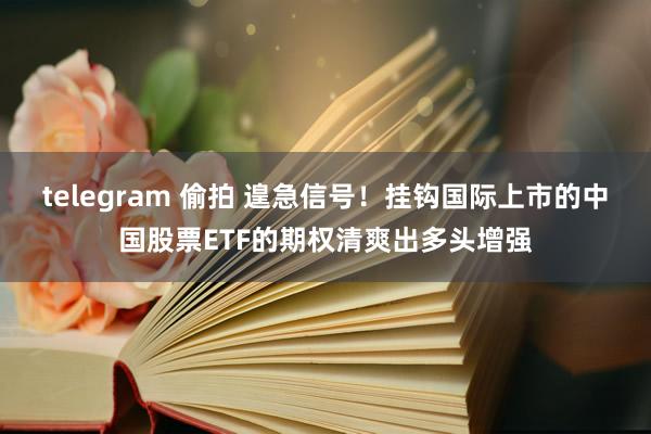telegram 偷拍 遑急信号！挂钩国际上市的中国股票ETF的期权清爽出多头增强