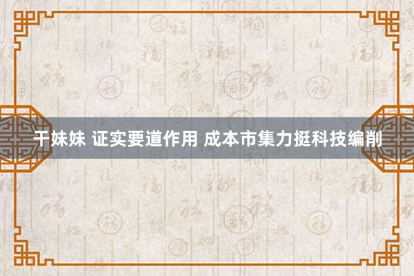 干妹妹 证实要道作用 成本市集力挺科技编削