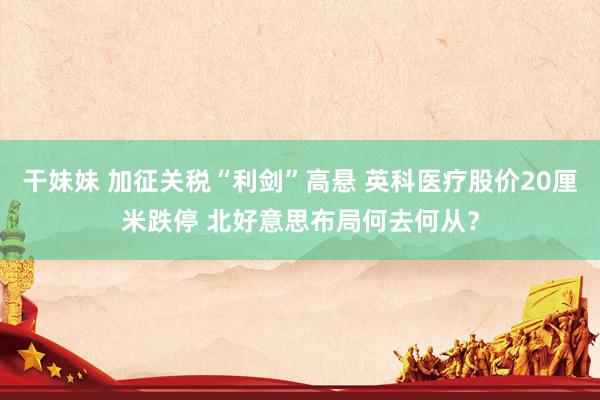 干妹妹 加征关税“利剑”高悬 英科医疗股价20厘米跌停 北好意思布局何去何从？
