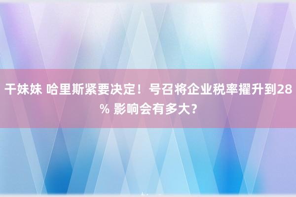 干妹妹 哈里斯紧要决定！号召将企业税率擢升到28% 影响会有多大？