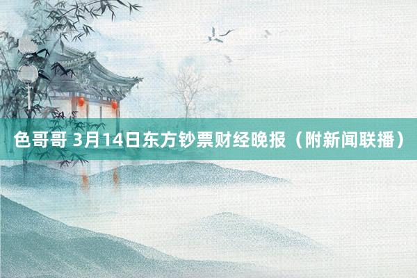 色哥哥 3月14日东方钞票财经晚报（附新闻联播）