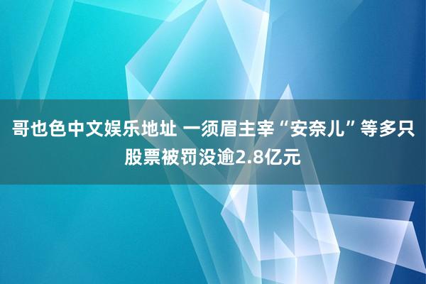 哥也色中文娱乐地址 一须眉主宰“安奈儿”等多只股票被罚没逾2.8亿元