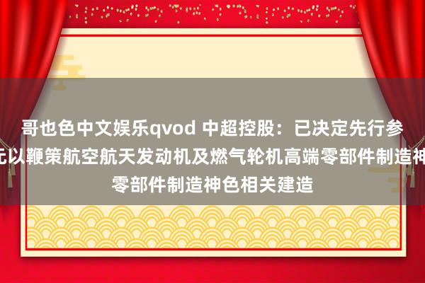 哥也色中文娱乐qvod 中超控股：已决定先行参预资金1亿元以鞭策航空航天发动机及燃气轮机高端零部件制造神色相关建造