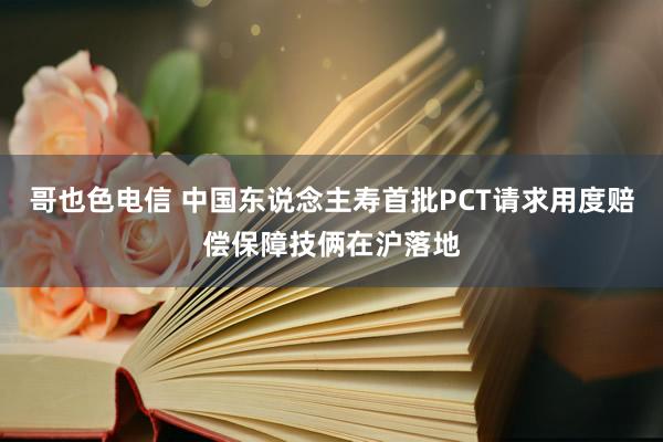 哥也色电信 中国东说念主寿首批PCT请求用度赔偿保障技俩在沪落地