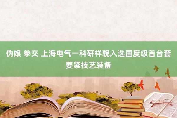 伪娘 拳交 上海电气一科研样貌入选国度级首台套要紧技艺装备