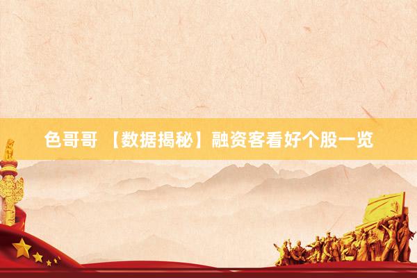 色哥哥 【数据揭秘】融资客看好个股一览