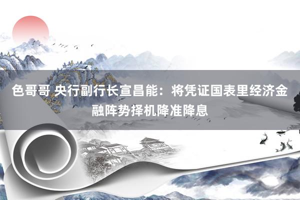 色哥哥 央行副行长宣昌能：将凭证国表里经济金融阵势择机降准降息