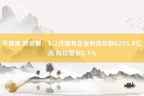 干妹妹 财政部：1-2月国有企业利润总数6255.0亿元 同比增长0.1%